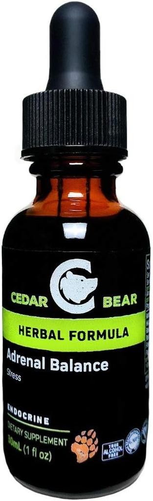 Cedar Bear Adrenal Balance - Suplemento de ervas líquidas com adaptogens que combate a fadiga, gerenciar estresse e aumentar a energia 1 fl oz / 30 ml