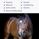 Mega-Mag (35lb) Balanced Multi Vitamina/Mineral Supplement for Alfalfa Hay Diets...