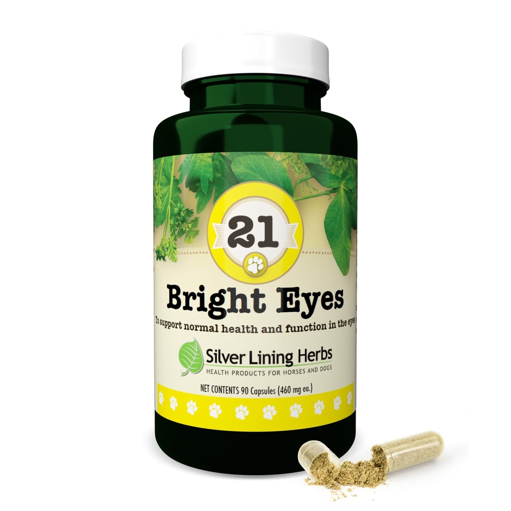 Silver Lining Herbs Bright Eyes Canine Eye Vitamins - Dog Eye Supplements to Support Healthy Eyes & Vision - Plant-Based Vision Supplements with Bilberry, Eyebright & Uva Ursi - 90 Capsules