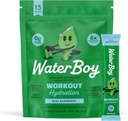 Waterboy Workout Hydration  2,960mg Sugar Free Electrolyte Powder Packets ← L-Glutamine + Vitaminas ← No Sugar, All Natural, Gluten Free ← 15 Drink Stick Mixes (Blue Raspberry)