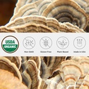 Organic Turkey Tail Mushroom Powder, Single Estate, Non-GMO - Gut, Energia, Cérebro, & Imune Support - Vegan Mushroom Supplement in a Resealable Glass Jar