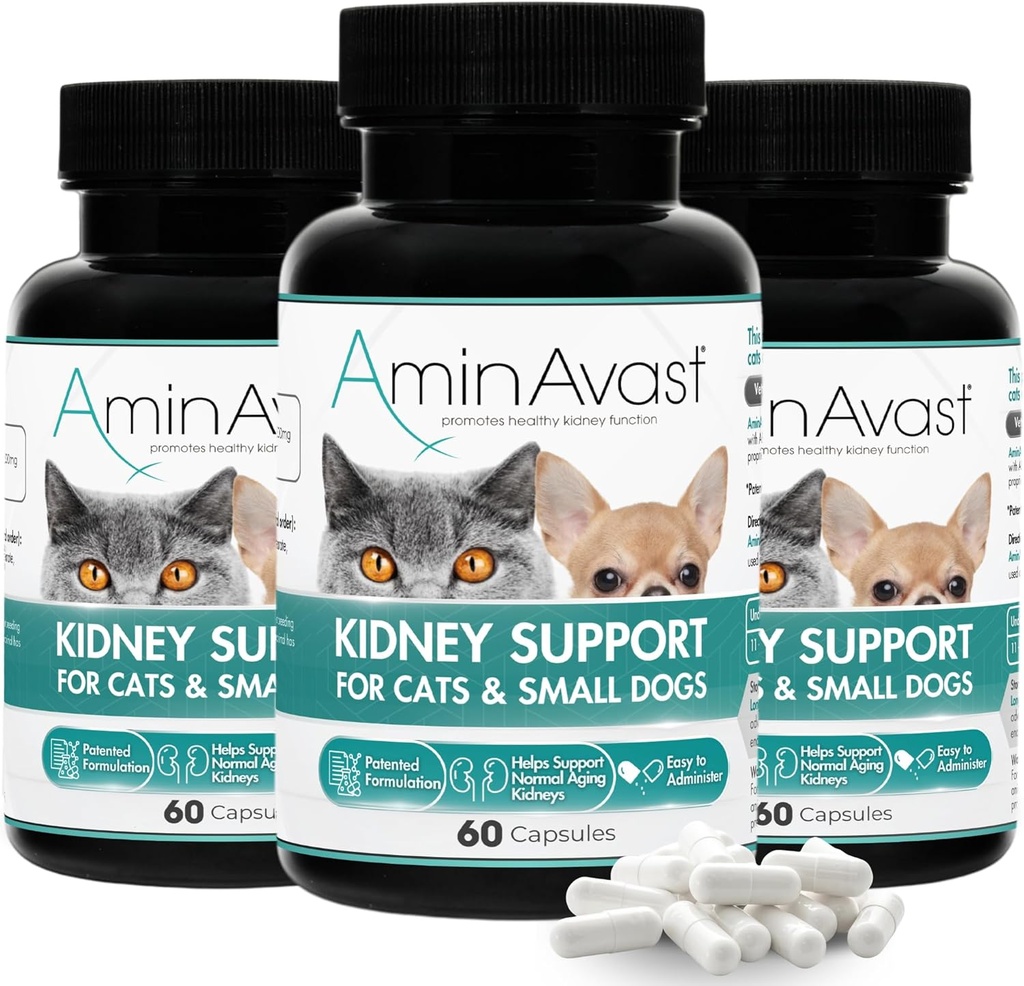 AminAvast Nierondersteuning Supplement voor katten en kleine honden, 300mg 3-pack - bevordert natuurlijke nierfunctie - Aids in Health and Vitality of Aging Nieren - Gemakkelijk toegediend - 60 Sprinkle Capsules
