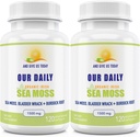 Naše Daily Vites Sea Moss Kapsle 1500mg (2 Pack) - Wildcrafted Irish Sea Moss Bladderwrack a Burdock Root Superfood Blend - imunitní systém, Gut Health & štítné žlázy podpora - 240 Vegetariánské Kapsle