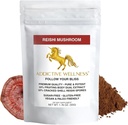 Addictive Wellness Reishi Mushroom Extract Powder + Spores (50 / 50 Blend) Wood Grown Pure & Powerwmade Ganoderma 50g (1.76 oz)