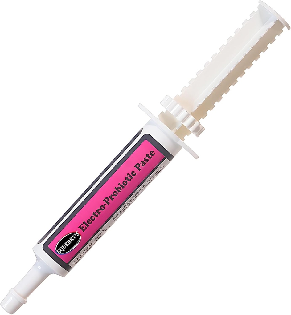 Equerry-ren Itsatsi elektro-probiotikoa zaldientzat - 30g | Equine Probiotikoak eta Electrolytes zaldi estresatuentzat | Easy Oral Syringe | Made in USA