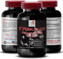 Stamina Support Formula - TRIBULUS TERRESTRIS EXTRACT - Tehon lataus, Virtatuki Blend, Fyysinen tuki, Plant-Powered Energy, kehon tuki Formula, vahvuus ja teho, aktiivinen vahvuus 1Bot 90Tab
