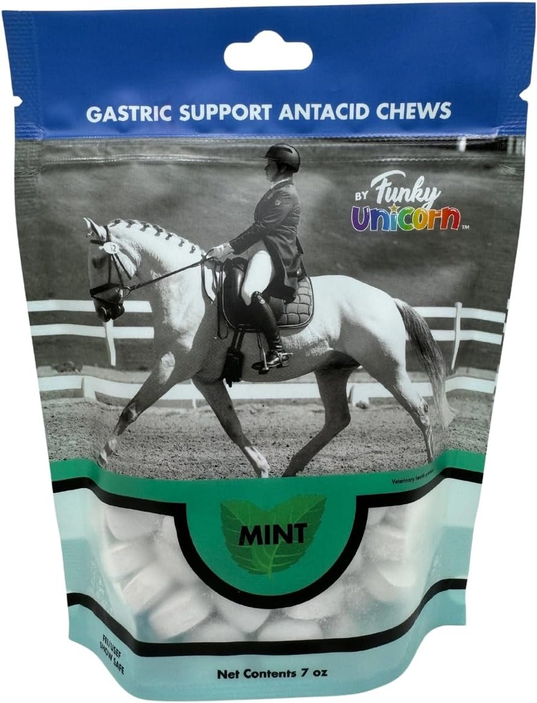 Funky Unicorn Gastic Chews - MINT maitse