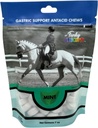 Funky Unicorn Gastic Chews - MINT flavor