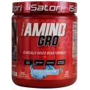 iSatori Amino-GRO BCAA Powder, Branched Chain Amino Acids with Glutamine, Electrolyte Powder & Bio-GRO Bio-Active Peptides for Muscle Growth & Post Workout Recovery, Blue Razz Snow Cone (30 Servings)