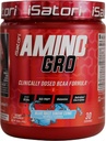 iSatori amino- GRO BCAA Powder, Branched Chain Amino Acids with glutamine, Electrolyte Powder & Bio- GRO Bio- Actides for Muscle Growth & Post Workout Recovery, Blue Razz Snow Cone (30 Servings)