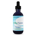 Nutra Biogenesis Methyl Factors - Vitamin B12 Drops, Methylfolate Drops, Sublingual Liquid for Women & Men, B Complex with Folic Acid for Kids & Adults, Energy Supplement, Sugar Free - 2 Fl Oz
