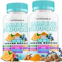10in-1 Elderberry、D3、Selenium、Quercetin、亜鉛、ビタミンC、ジンジャー、Turmeric Curcumin、B6、Echinacea - Immune Defense - 米国製(60カウント)
