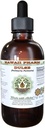 Dulse Alcohol- Free Liquid Extract, Dulse (Palmaria Palmata) Leaf Glycerite Hawaii Pharm Natural Herbal Suplemen 2 oz