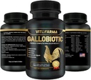 Multivitamina naturale Gallobiotico per Radice, Mensole - 100 compresse | Vitamina Completas para Gallos