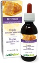 Naturalma Propolis (Propolis) Alkol-Free Tincture - 4 fl oz Sıvı Ekstraksiyon - Diyet Tamamlayıcı