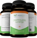 Cryptolepis Synergy, Immune 지원 비타민, 성인, 간결, 림프 및 면역 지원 보충교재를 위한 면역 체계 승압기, 지원 Lyme & 자연적인 기생충, 120의 캡슐, 3 팩
