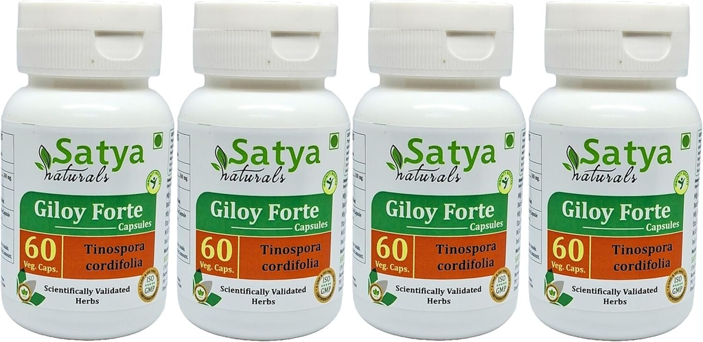 Cápsulas de Giloy Forte 500 mg. 60 Veg. Cápsulas de Extrato para Homens e Mulheres □ Indian Ayurvedic Herbal Supplement/Remediaes (4 frascos de 60 cápsulas)