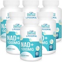 NAD + Suplemento lipossômico 1000 mg □ Maior NAD Pontecy □ Max Absorção □ Puro NAD Suplemento □ Reparação de Energia e DNA, Defesa do Envelhecimento, Função do Cérebro