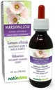 Naturalma Marshmallow (Althaea officinalis) Root Alkohol-free Tinkture - 4 fl oz Tekoči ekstrakt v kapljicah - Zeliščni dodatek - Vegan