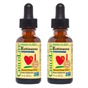 CHILDLIFE ESSENTIALS Echinacea for Kids - Kids Echinacea Drops, Tincture, Alcohol Free Supplement for Babies, Toddlers, Children - Natural Orange, 1 Fl Oz (Pack of 2)