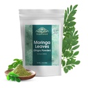 Moringa Leaves Powder Oleifera Leaf Shigru Great in Drinks and Smoothies 16 Ounce
