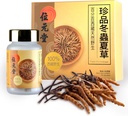 100% Wild Tibetan Cordyceps kapszula - Ground from Raw Cordyceps, Energy, Lung & Immune Support, 24 kapszula
