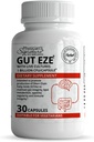 Rawleigh Gut Eze: 30 Cápsulas, Todos os dias Vegetariano Probiótico para homens e mulheres, 1 bilhão de UFC / Cap, Microbiome-Based, SCFA Produção + Gut, Digestivo, Imunidade, Appetite & Suporte Lipid, Não-GMO