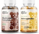 Onddo basati eta organikoak Gummies eta Ashwagandha Gummies