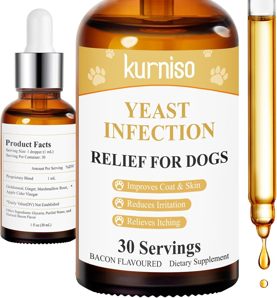 Naturlig hund øreinfeksjon