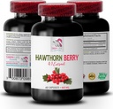 Brusnicový doplnok - HAWTHORN BBERRIES EXTRACT - antioxidačný doplnok pre ženy, antioxidačné bobule, antioxidačné zmesi, Hawthorn bobule antioxidant, divoké bobule energie hawthorn energie 1Bot 60Caps