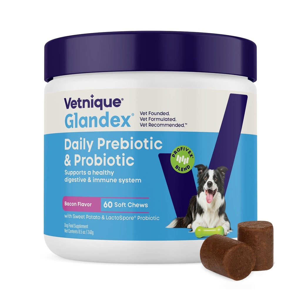 Vetnique Glandex Dog Probiotic Chews, Daily Probiotics for Dogs 5 Strains, Prebiotics & Digestive Enzymes for Gut & Immune Health, Vet Formulated for Occasional Diarrhea (60ct Chews, Probiotic Chews)