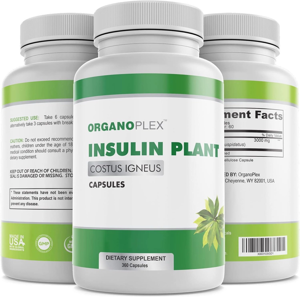 Insulin Plant Capsules (Costus Igneus), 100% Natural Supplement, 360 Veggie Caps (2 Ay Supply) - Insulin Plant Capsules (Costus Igneus), 100% Natural Supplement, 360 Veggie Caps (2 Ay Supply) - Insulin Plant Capsules