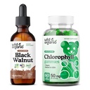 Wild & Organic Black Walnut Tincture 2 fl oz & Chlorophyll Gummies 60 Count