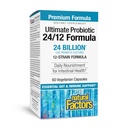 Natural Factors Ultimate Probiotic 24/12 Formula - Digestive Health Support Supplement with Probiotics - Immunity & Gut Health Support Supplement - 60 Vegetarian Capsules (60 Servings)