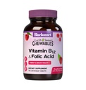 Bluebonnet Nutrition Earth Sweet Vitamin B12 & Folic Acid Chewable Tablets, Soy-Free, Gluten-Free, Raspberry 90 Count (Pack of 1)