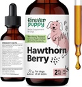 Forever Puppy Hawthorn Berry Pilieni suņiem - Antioksidants Atbalsts Tincture suņiem w / Hawthorn Berry - Šķidrā sirds veselības papildinājums laimīgiem mājdzīvniekiem - Nav konservanti un mākslīgas krāsas - 2 oz