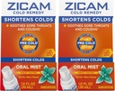 Zicam Cold Remedy Zinek Arctic Mint Oral Mist, 1 Ounce (Balení po 2)