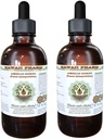 American Ginseng Alcool-Liquid Extract, Ginseng (Panax Quinquefolius) Root Glycerite Hawaii Pharm Natural Herbal Supliment 2x4 oz