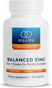 Equilife Echilibrat Zinc, 15 mg Zinc & Copper Co-Factor Complex Supliment cu vitamina C & Vitamina B6 pentru Daily Imunity and Wellness Support, Gluten Free, Vegan, Non OMG, 60 capsule