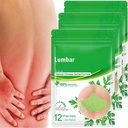 Lumbar Health Patch (36 PCS/3 Bag)