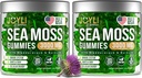 JOYLI Nutrition 2 Pack - Sea Moss Gumies felnőtteknek és gyerekeknek - Vegán Ír-tengeri Moss kiegészítés Bladderwrack & Burdock Root - Sugar- Free Immune Supplement Supplements - 60 Gumy Bears csomagonként