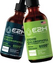E2H: נוזל Chlorophyll Natural Flavor ו- Peppermint Flavor