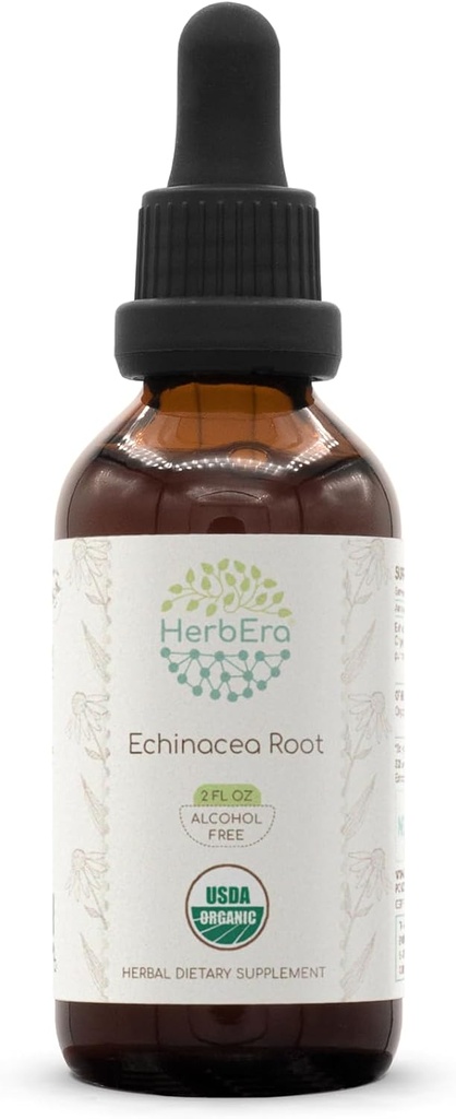 HerbEra Echinacea Root B60 USDA Tintura orgánica | Extracto sen alcohol, caídas de herba de alta potencia, saúde do sistema inmunitario | raíz de equinocia orgánica certificada (Echinacea Purpurea) Dried Root (2 fl oz)