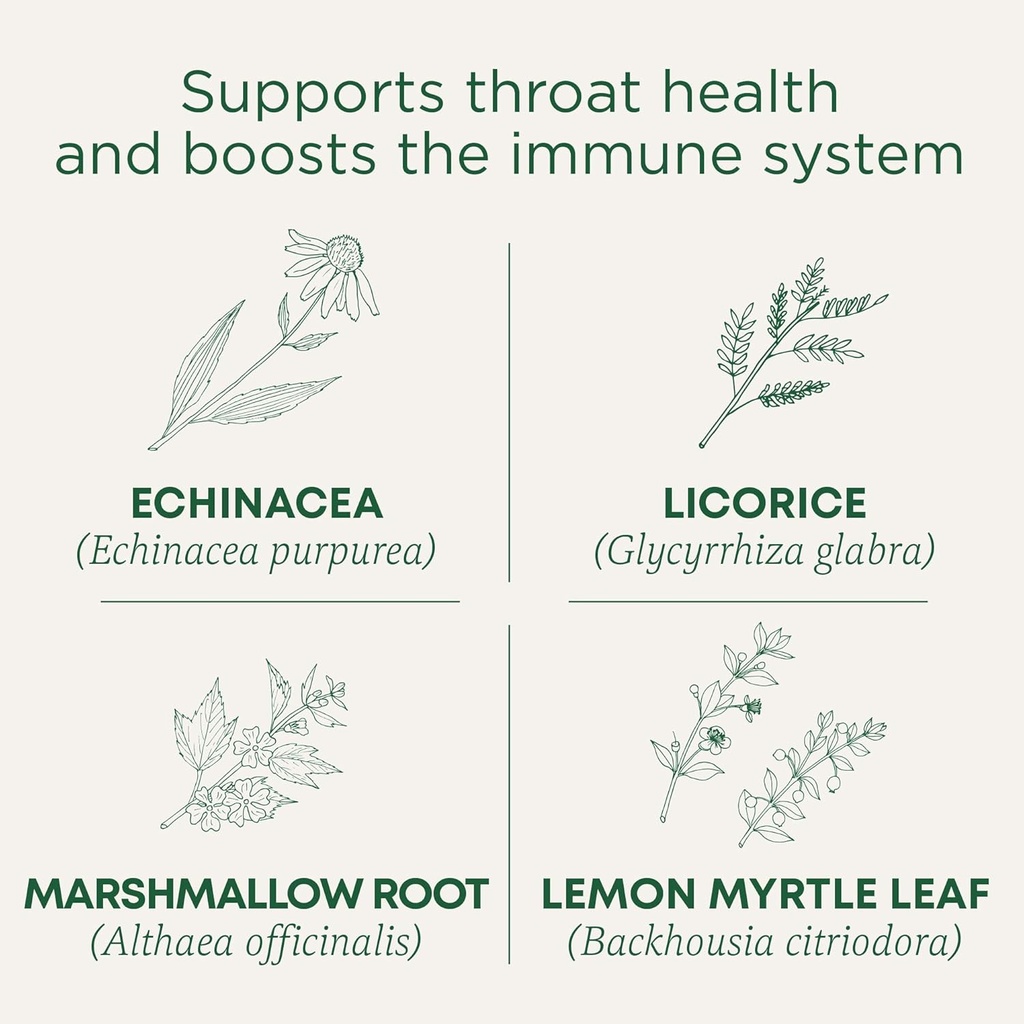 Medicamente tradiţionale Lozenges, Organic Throat Coat Lemon Ginger Echinaceae, Sore Throat Support, 16 Count (Pachet de 2)