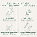 Medianals Lozenges, Organic October Coat Jonzeza, Sore Noves, 16 เคานต์ (Pack of 2)