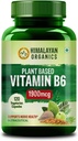 Plant-Based Vitamin B6 | Supports Immunity, Brain Health (120 Capsules)