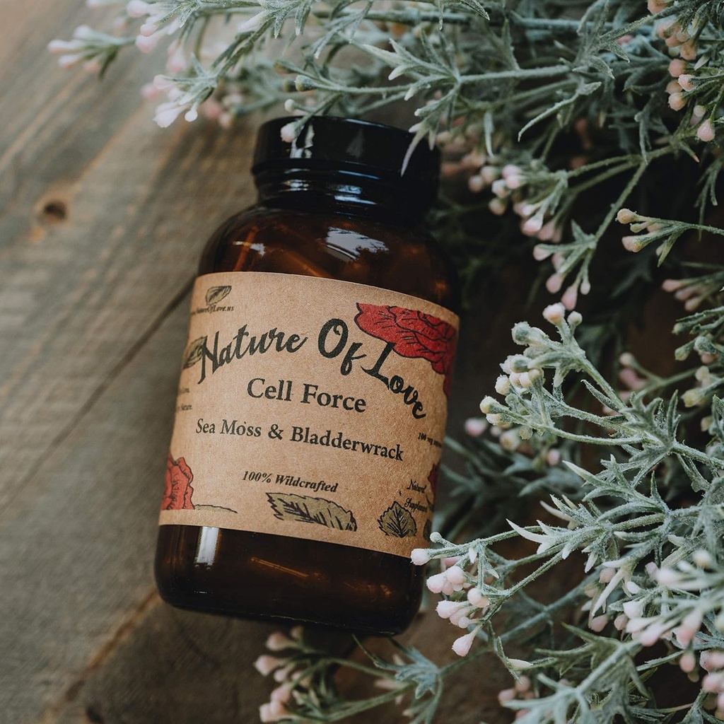 Organic Irish Sea Moss kapszula Bladderwrack - 100% Természetes, Vegan, Organic, Non-GMO - Dr. Sebi ihlette