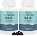 Liposzómás NAD + 1800 mg-os kiegészítés Nicotinamide Riboside-dal, Trans Resveratrol, Trimethylglyclavine