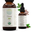 HerbEra Clove USDA Organic Tincture | Alcohol-Free Extract, Herbal Drops, Immune System Health | Certified Organic Clove (Syzygium Aromaticum) Dried Flower Buds (2 fl oz)