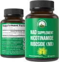 Nikotinamid ribozid NR Supplement. NMN Alternative NAD dodatek + Niacinamid za NAD+ ravni, kot smo starost. Tretja stranka Tested, Non-GMO, Gluten Free, Vegan NR Vitamin dopolnila za ženske in moške